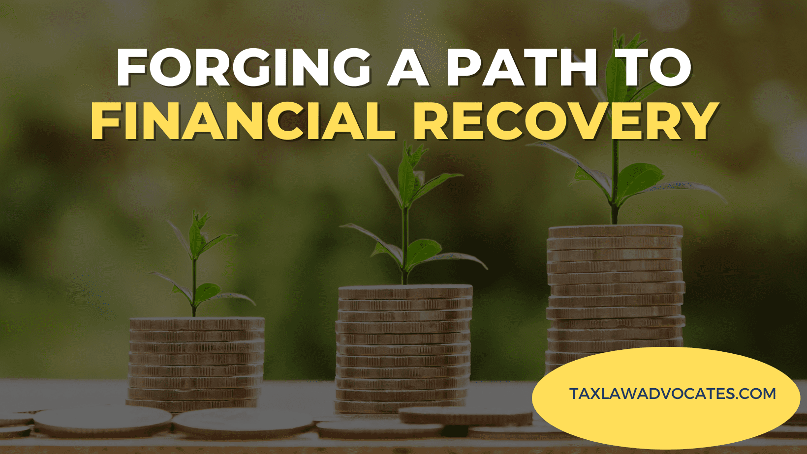 Forging a Path to Financial Recovery