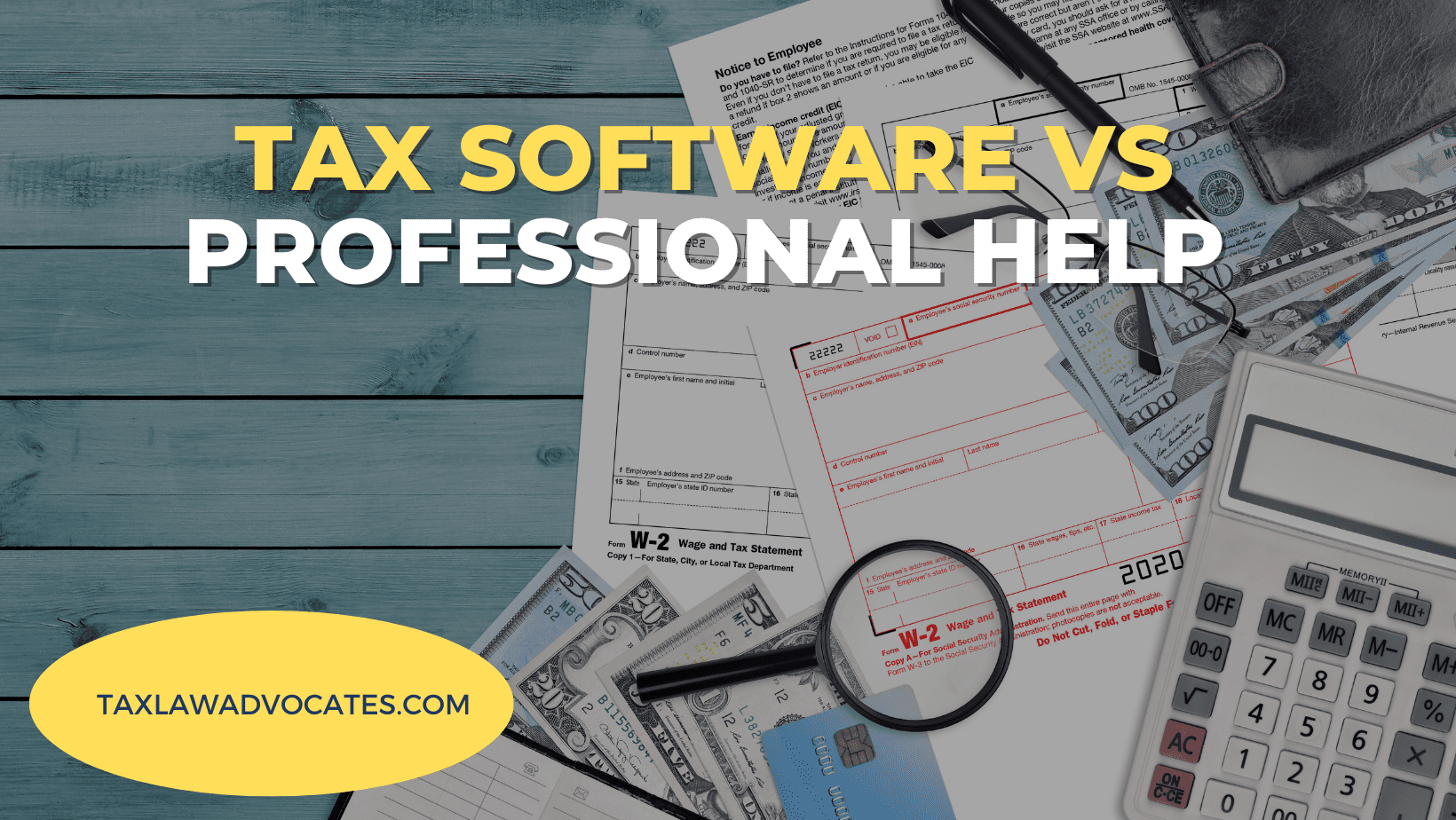 Tax Software VS Professional Help